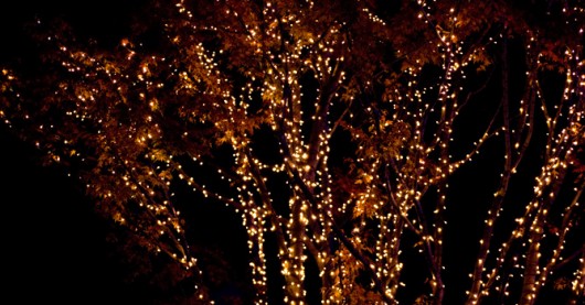 シャイニングストリートin大館