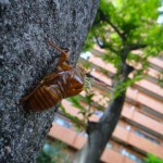 a0002_005204
