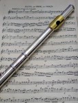 flute-1_345058