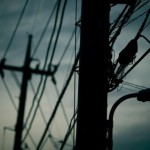 大館桂工業　秋田県