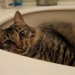 須藤時計店　秋田県